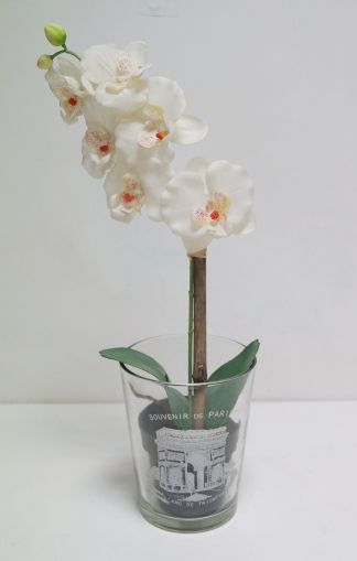 Кашпа за орхидеи с Париж