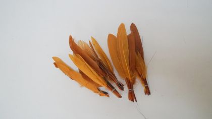 Естествени пера оранжеви пакет