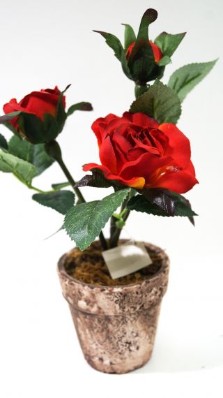 Роза червена в керамична саксия 