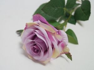 Стрък роза розова/лилава/червена