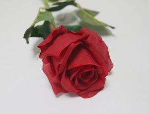 Стрък роза червена/розова/лилава