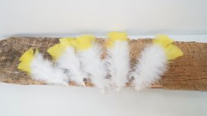 Естествени пера жълто-бели пакет