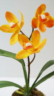 Орхидея оранж в керамична саксия