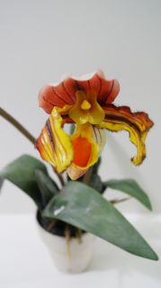 Орхидея оранж в бяла саксия